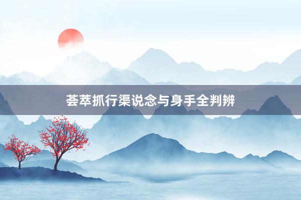 荟萃抓行渠说念与身手全判辨