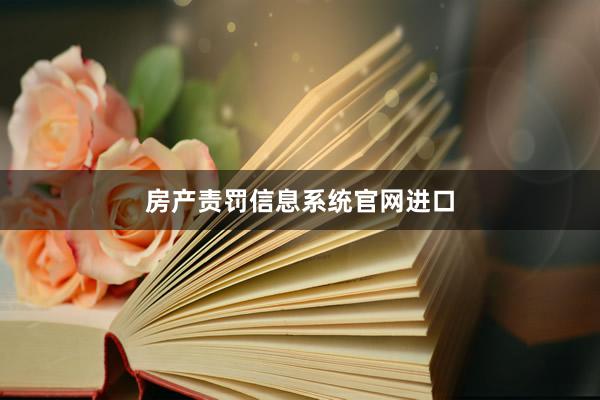 房产责罚信息系统官网进口