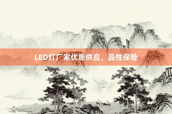 LED灯厂家优质供应，品性保险